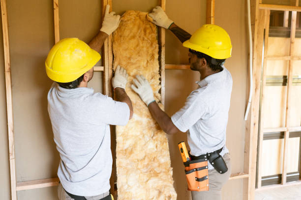 Best Insulation for New Construction  in Temecula, CA